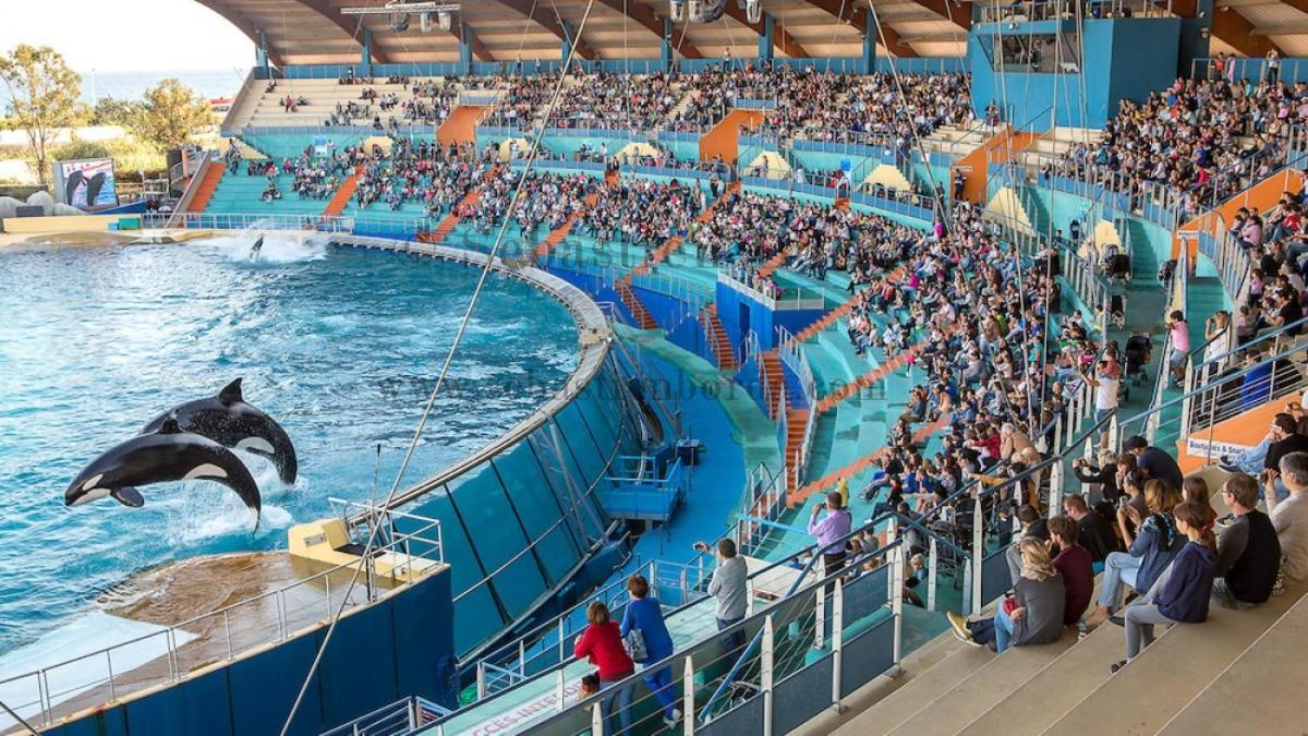 Gite Lapaz/Jacuzzi Prive/Piscine Draguignan Kültér fotó
